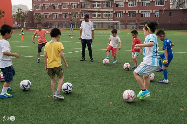 山东男篮回应丁伟是否下课：请以官方通知为准